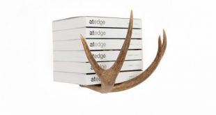 Design Inspiration: Antler Holders and Hooks To Decorate Y… | Flic