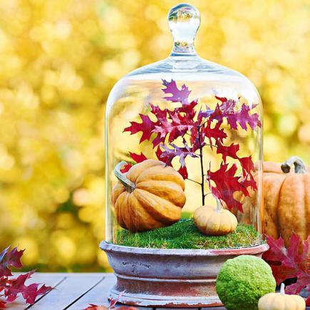 18 Cool DIY Thanksgiving Centerpieces - Shelterne