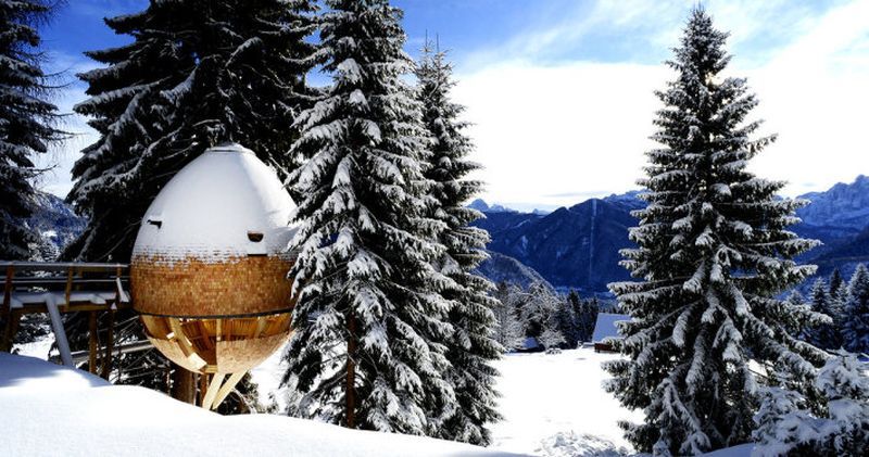 Cozy pinecone-shaped treehouses amidst the Italian Alps | Tree .