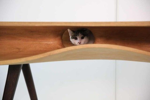 CATable: A Modern Desk For You And Your Cat | Pet furniture, Cat .