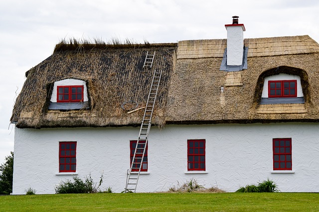 Could You Live in an Old Irish Cottage? — Shanore Bl