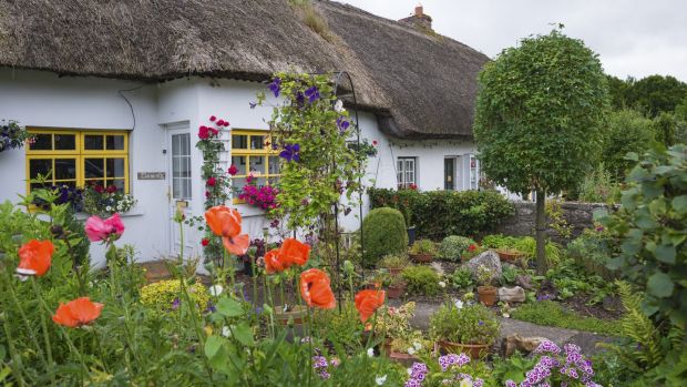 Thatch life: what it's like to live in a classic Irish country .