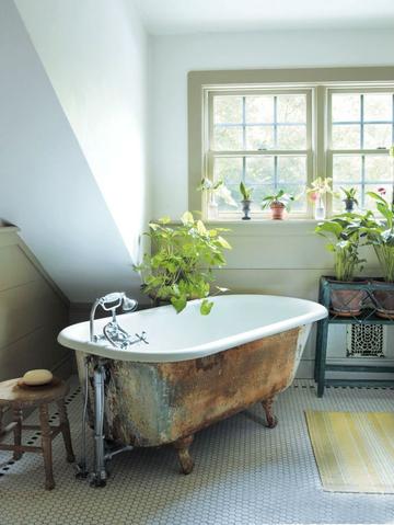 How to Buy and Care For a Clawfoot Tub 101 | Hippo Hardware .