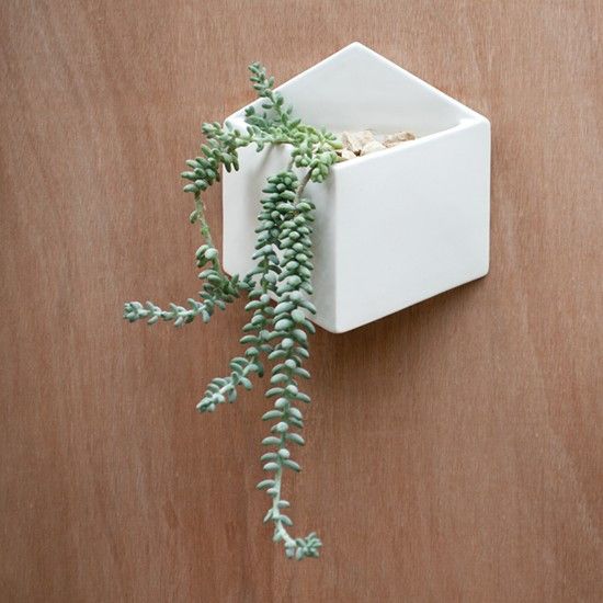 Love love love! Wall hung planter - From Collected | Wall planter .