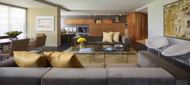 Open Concept Living Space - Contemporary - Living Room - DC Metro .