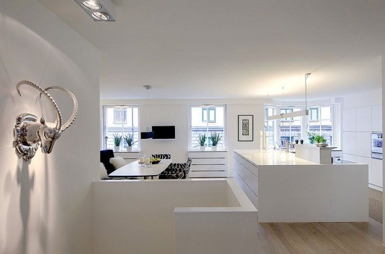 Scandinavian Design: Contemporary White Duplex Apartment in .