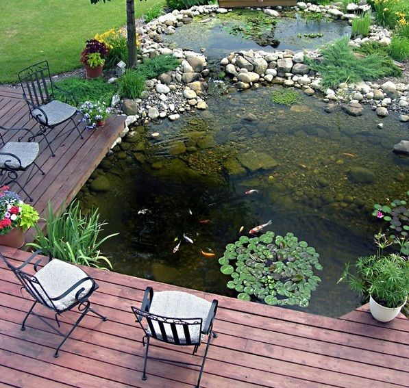 53 Cool Backyard Pond Design Ideas | DigsDigs | Garden pond design .