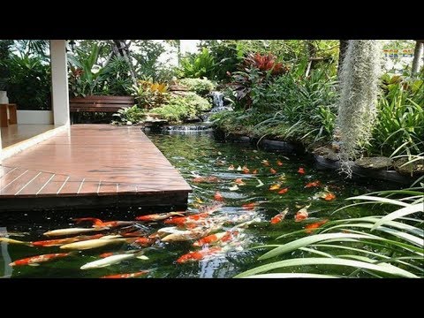Small Garden Ideas - Cool Backyard Pond Design Ideas - YouTu