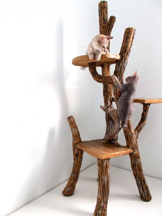 30 Eco-Friendly Driftwood Furniture Ideas To Try | Cat tree, Diy .