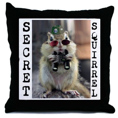 Secret Squirrel LOL Throw Pillow {Gift} | Squirrel funny, Funny .