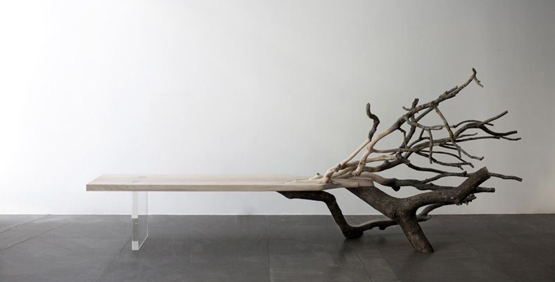 Fall Tree Bench From Glass And A Real Oak Tree | Autumn trees .