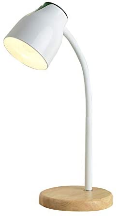 ANYE Simple Style Table Lamp Flexible Gooseneck Hose Arm Metal .