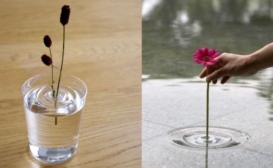 Ripple floating vases by oodesign make flowers dance on water .