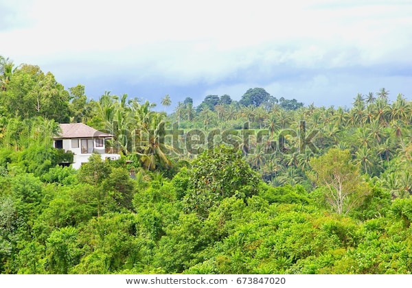 Luxury Villa House Panoramic View Jungle Stock Photo (Edit Now .