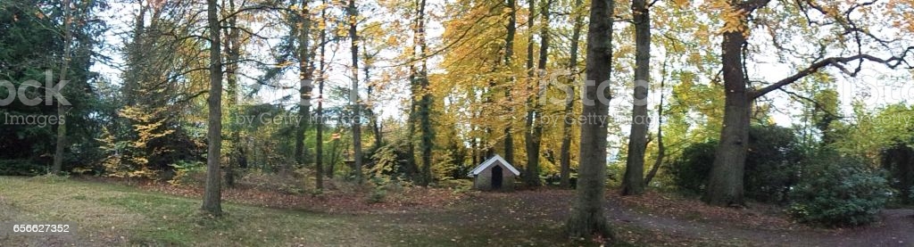 House In The Forest Panoramic View Stock Photo - Download Image .