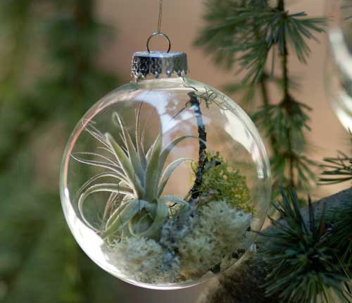 Holiday Wreaths and Tree Ornaments With Natural Plants - DigsDi