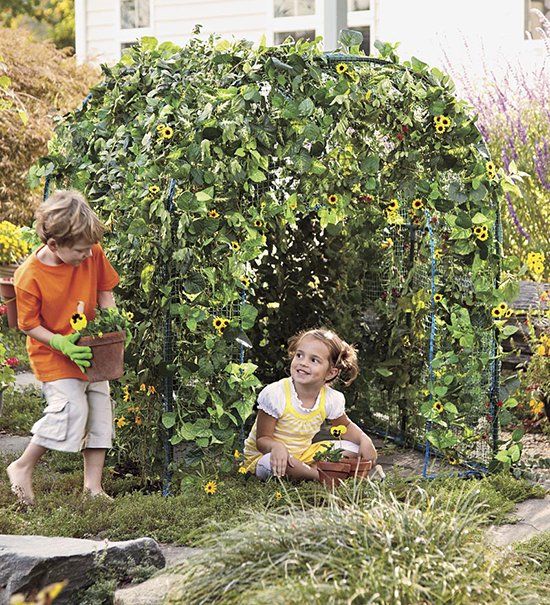 grow your own hideaway | Gardening for kids, Outdoor, Sunflower hou