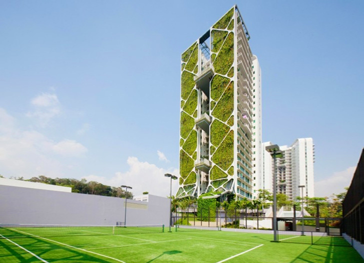 World's Largest Vertical Garden at the Singapore Tree House .
