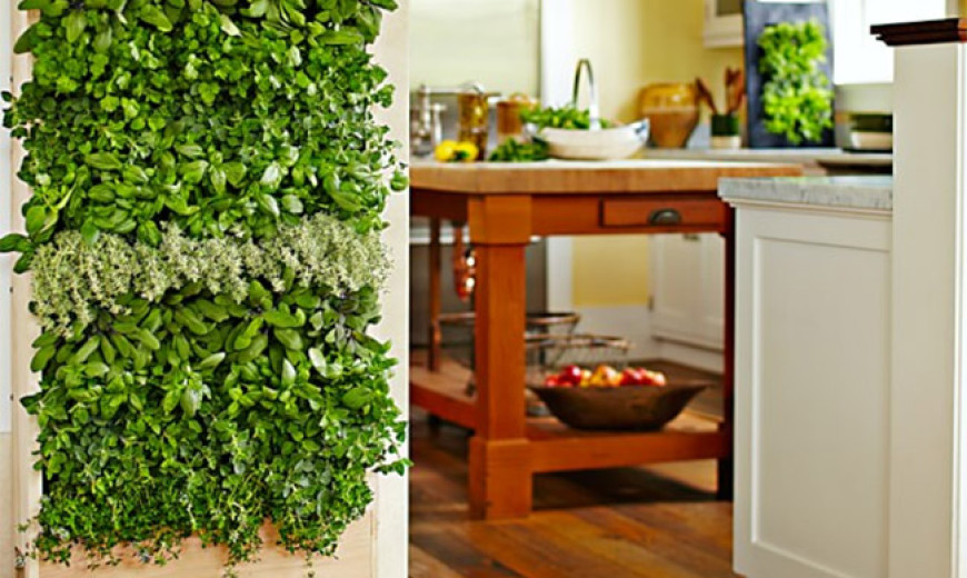 8 Simple Ways To Create An Indoor Vertical Garden In Your Ho