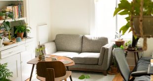 Tips To Make Your Interiors Eco-Friendly – Turdi Desig