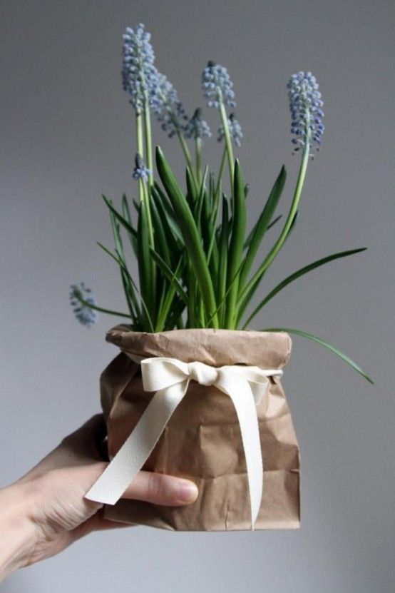 37 Hyacinths Décor Ideas To Breathe Spring In | Plant gifts .