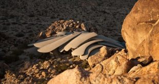 Jaw-Dropping Sculptural Desert House In Joshua Tree - DigsDi