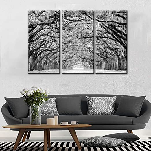 Amazon.com: TUMOVO 3 Panels Black White Tree Canvas Wall Art - Oak .
