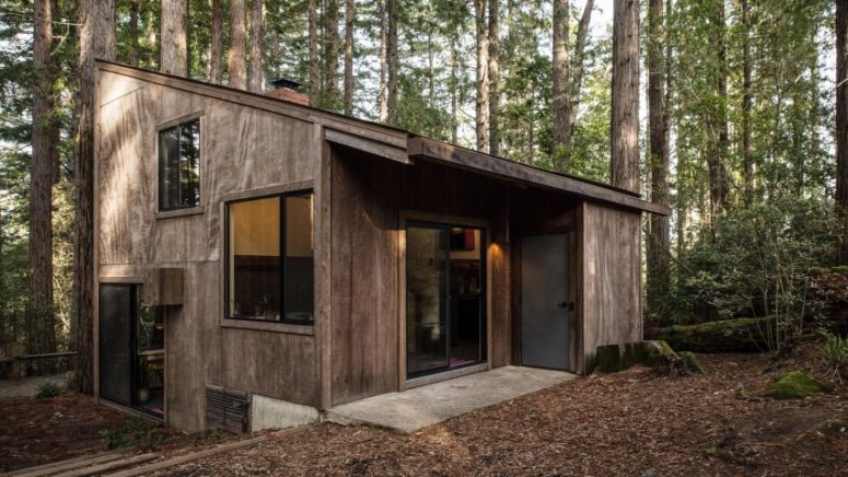 Mid-Century Sea Ranch Cabin In The Woods - DigsDi