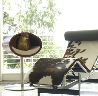 cat modern furniture Archives - DigsDi