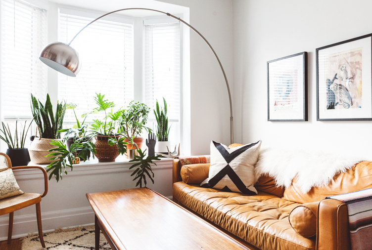 15 Plant-Filled Living Rooms for Serious Decor Inspirati