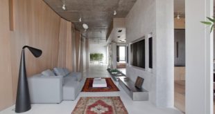 Modern Zen Moscow Apartment With An Indoor Garden - DigsDi
