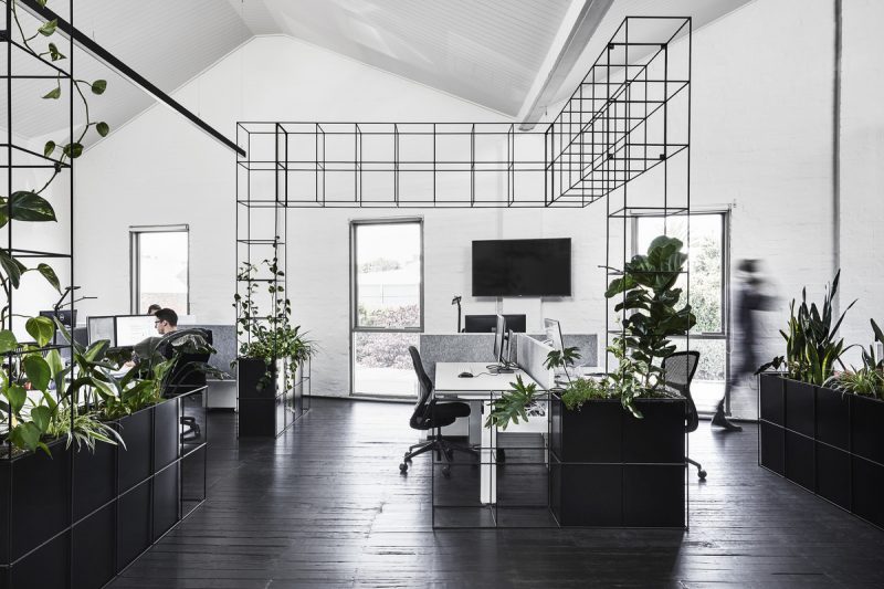 Build Australia | A minimalist and monochromatic office design .