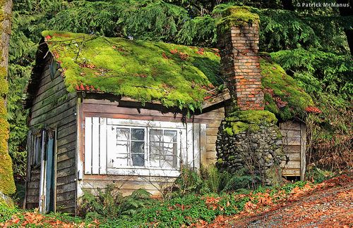 Abandoned Moss Covered Cabin, Washington State, Patrick McManus .
