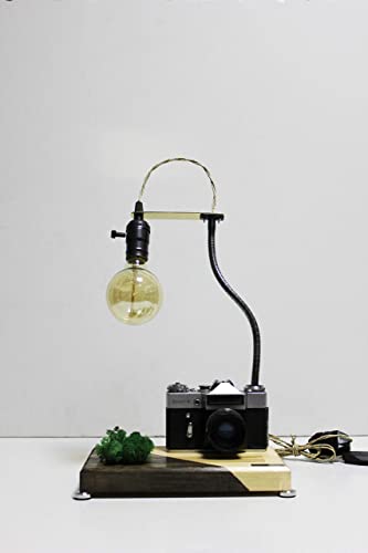 Amazon.com: Table lamp Pride&Joy stabilized moss gifts for him old .