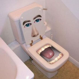 Error: | The Renovator's Supply, Inc. | Funny toilet seats, Weird .
