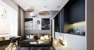 Modern Apartment Ideas, Single Person Studio Design with Bright .