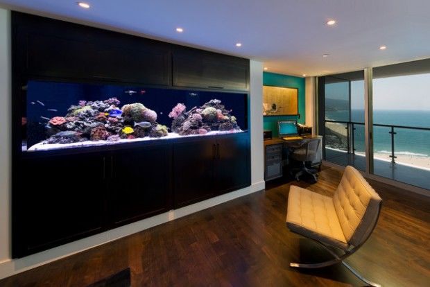 24 Original Ideas with Aquarium in Home Interior | Home aquarium .