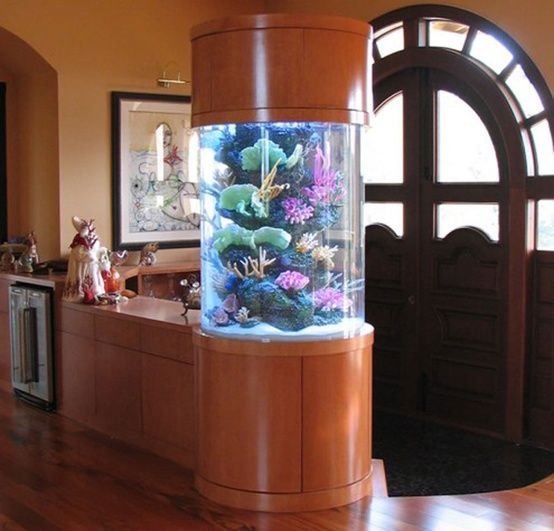 55 Original Aquariums In Home Interiors | DigsDigs | Aquarium desi