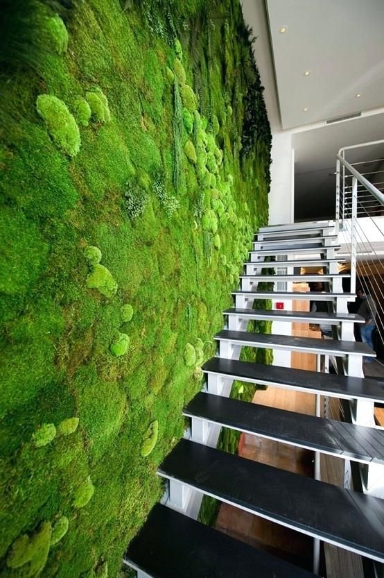 Living Wall Indoors Peaceful Indoor Living Wall Designs For Any .