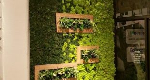16 Peaceful Indoor Living Wall Designs For Any Home - DigsDi