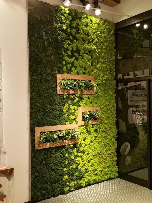 16 Peaceful Indoor Living Wall Designs For Any Home | Walled .