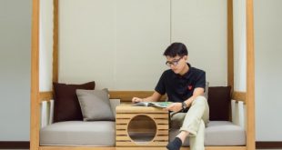 PET Modular Sofa With A Pet Home Integrated - DigsDi