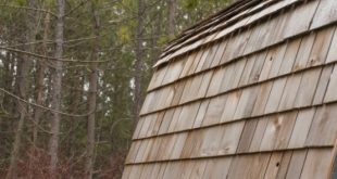 Prefab Wooden Cabin: Collingwood Shepherd Hut - DigsDi