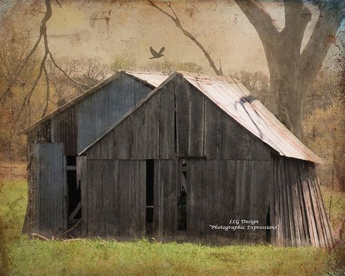 twin barns | Barn, House styles, Rust