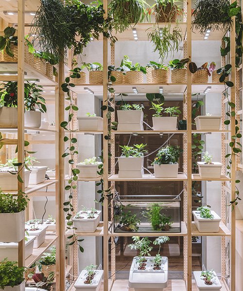 the IKEA home of tomorrow is a self-sufficient, plant-filled heav