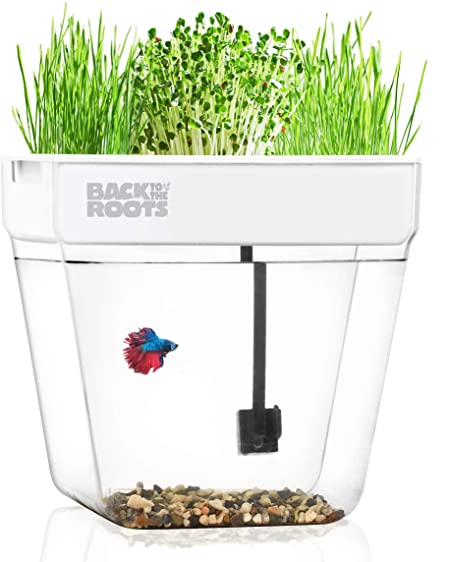 Amazon.com : Water Garden, Self-Cleaning Fish Tank That Grows Food .