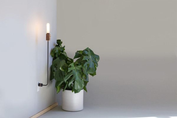Wald Plug Lamp by Feltmark | Verlichting ideeën, Lampen, Verlichti