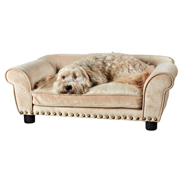 Sofa Dog Beds You'll Love in 2020 | Wayfa