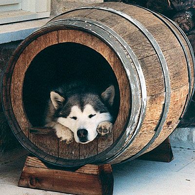 Creative Dog House Designs | Wine barrel dog bed, Barrel dog house .
