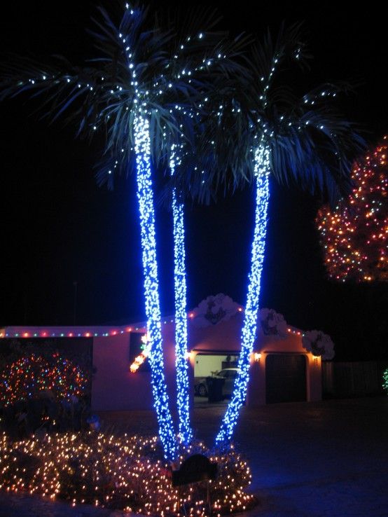 There's something magic about all of our palm trees decorated in .